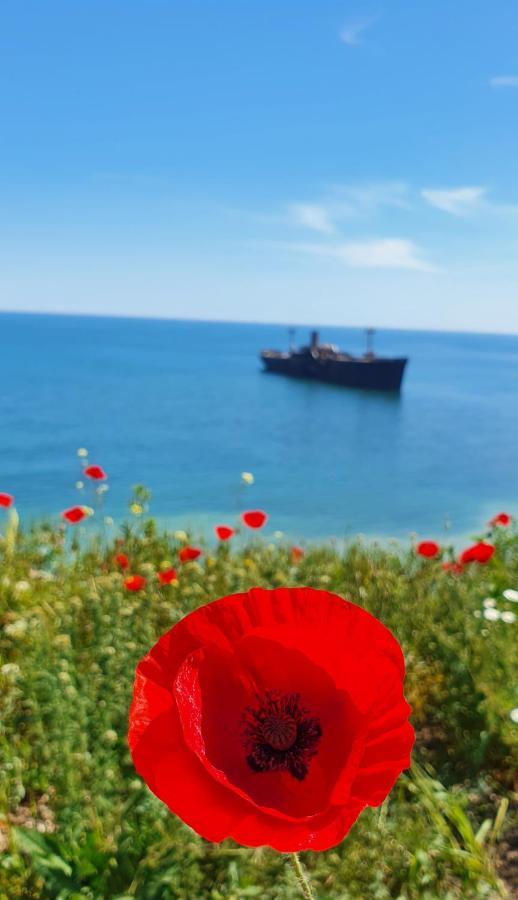 Black Sea View Costinesti
